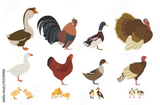 Picture of 133789984