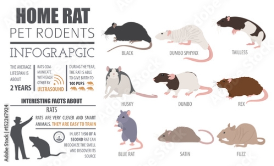 Picture of 152267924