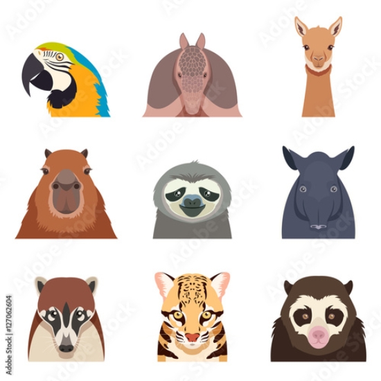 Picture of 127062604