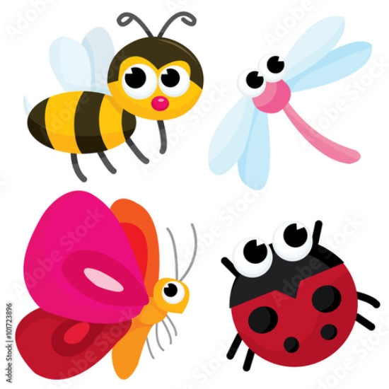 Picture of 101723896