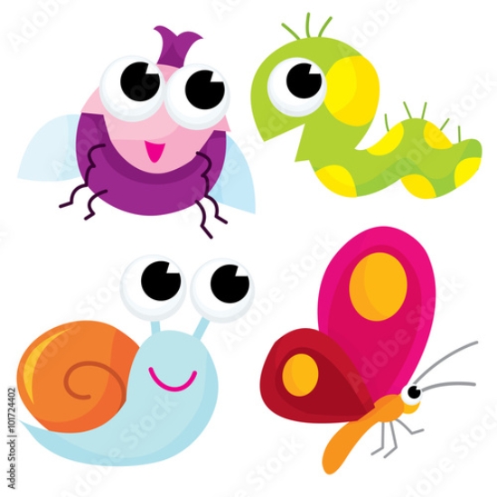 Picture of 101724402