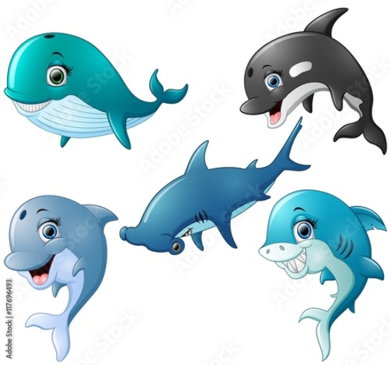 Picture of 117696493