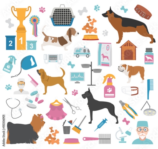 Picture of 110306901