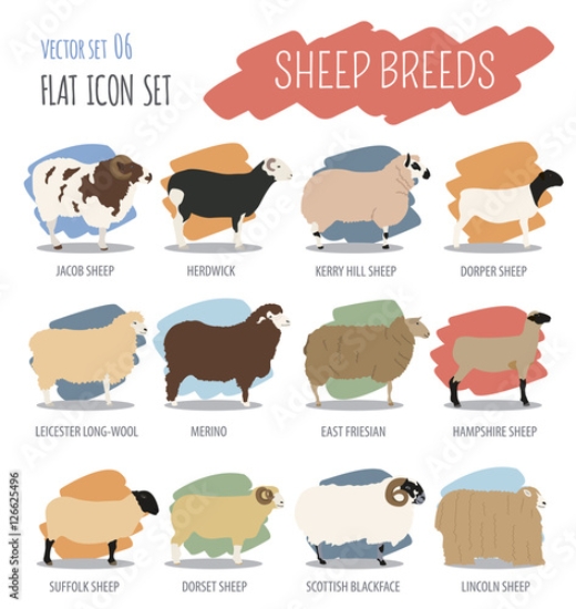 Picture of 126625496