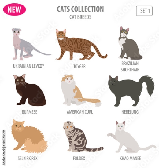 Picture of 144028629