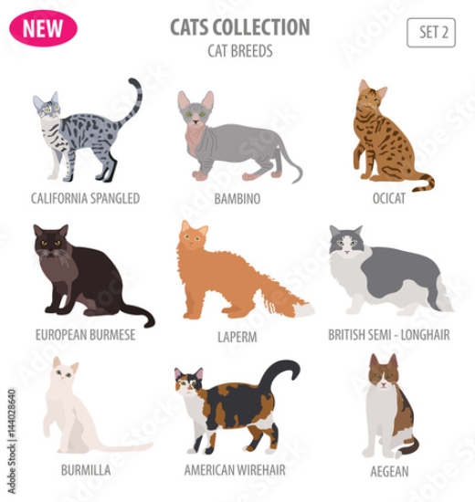 Picture of 144028640