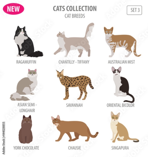 Picture of 144028855