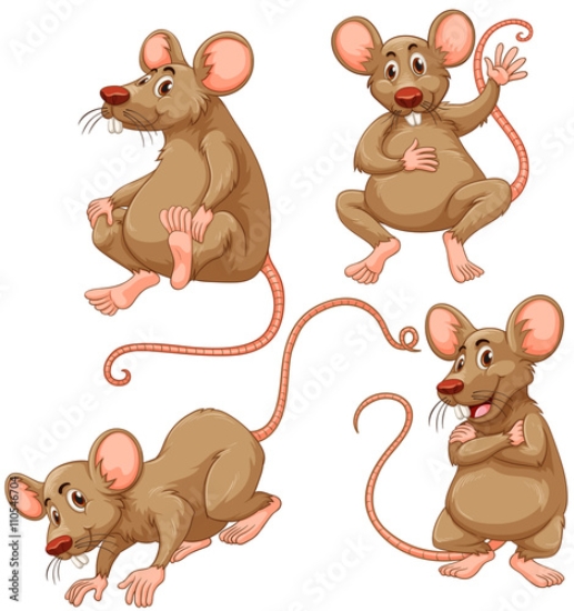 Picture of 110546704