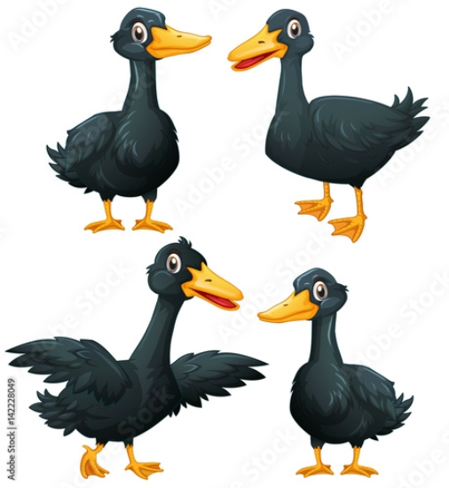 Picture of 142228049