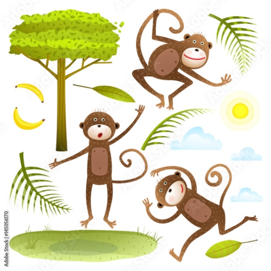 Picture of 145056170