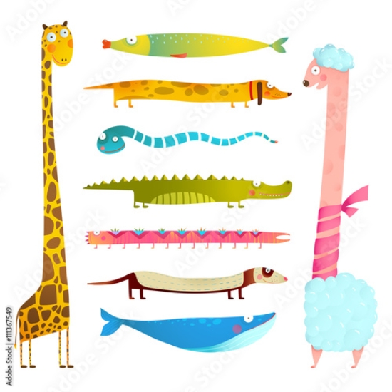 Picture of 111367549