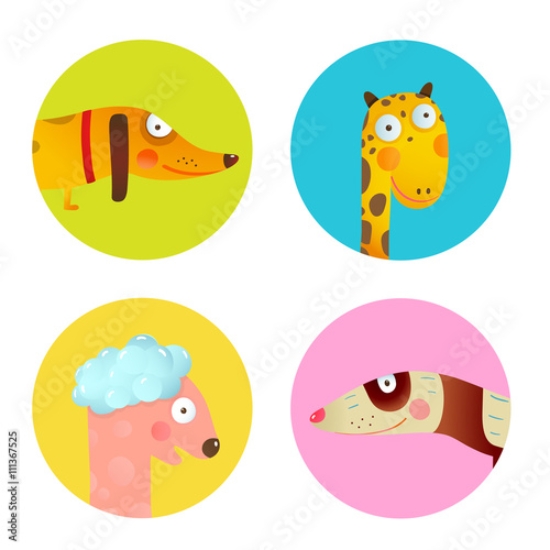 Picture of 111367525