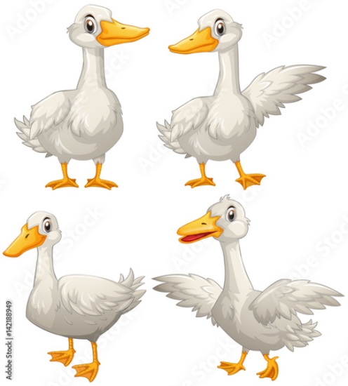 Picture of 142188949