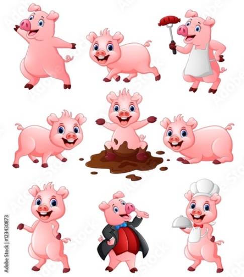 Picture of 123430873