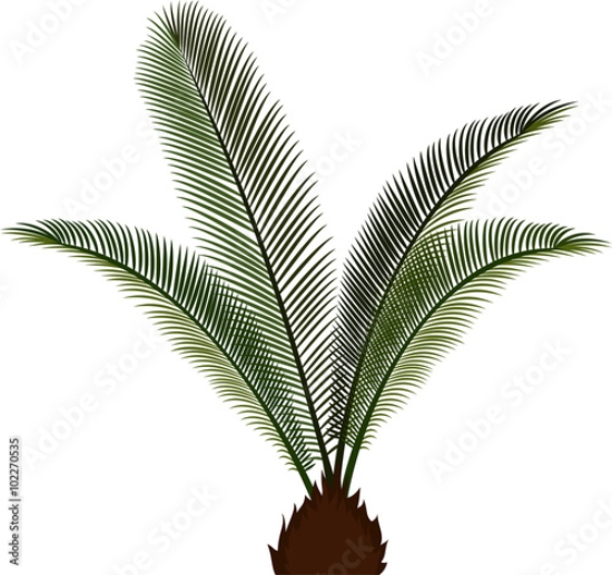 Picture of 102270535