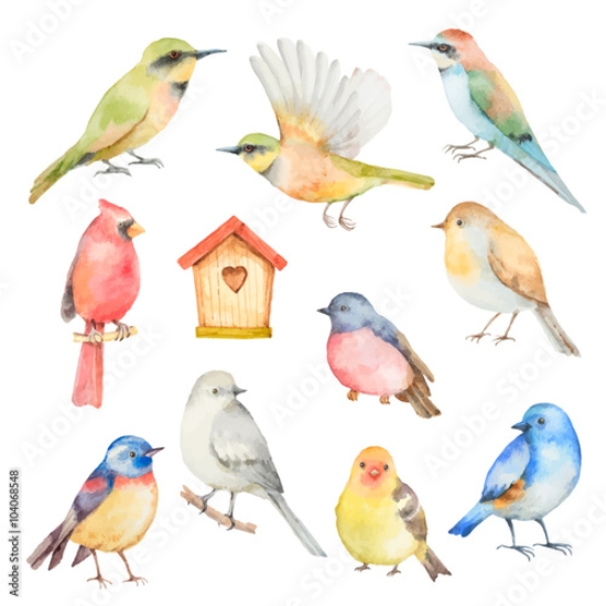 Picture of 104068548