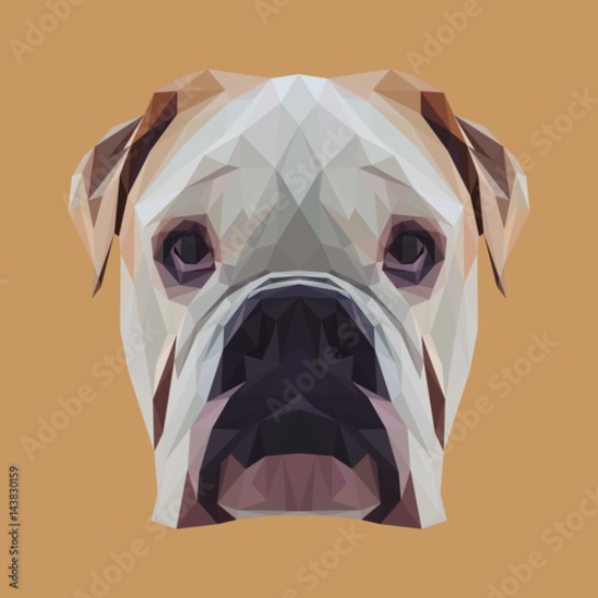 Picture of 143830159