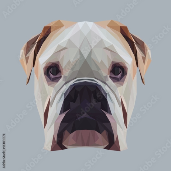 Picture of 143830171