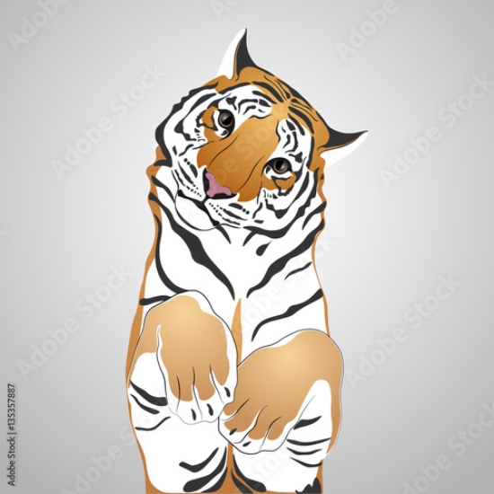 Picture of 135357887