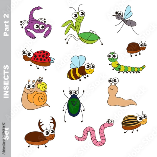 Picture of 117438697