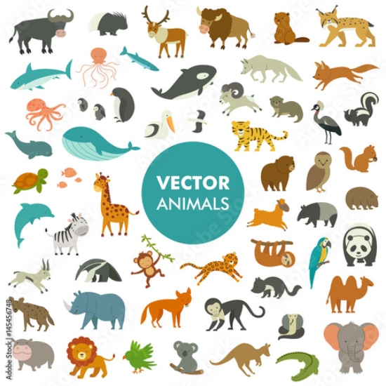 Picture of 145456748