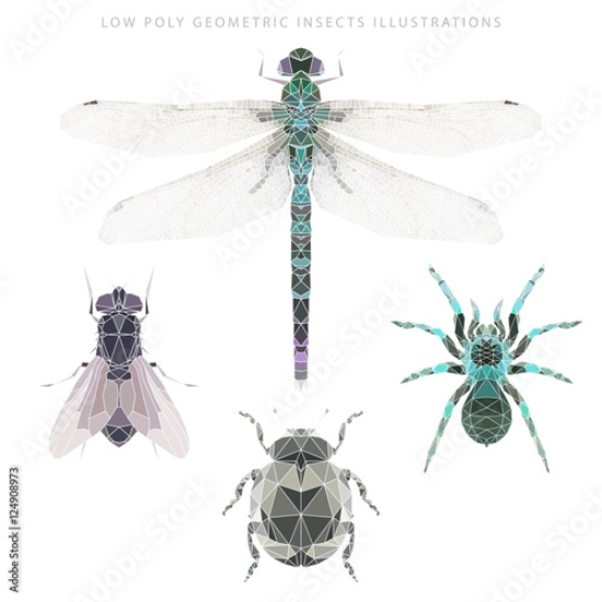 Picture of 124908973