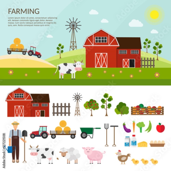 Picture of 127221508