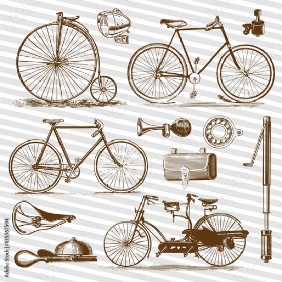 Picture of 135367504