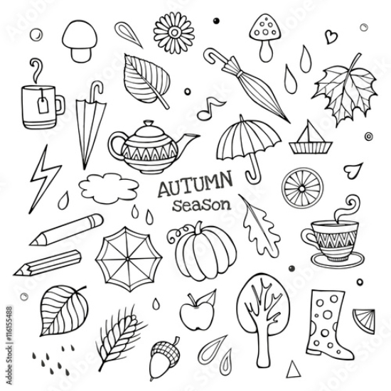 Picture of 116155488