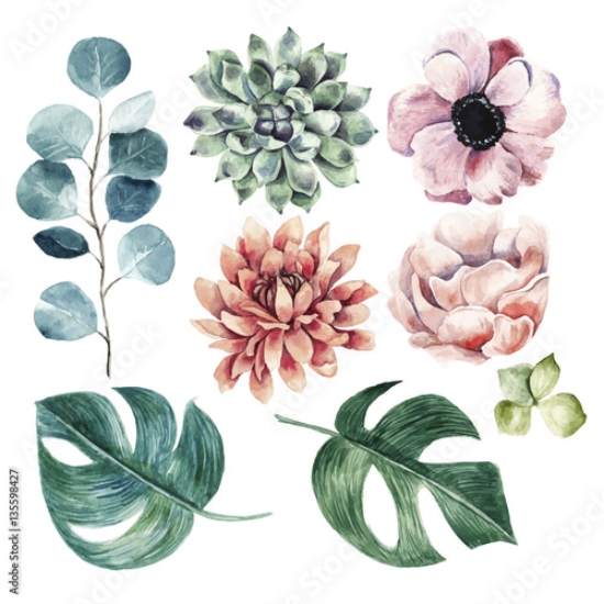 Picture of 135598427