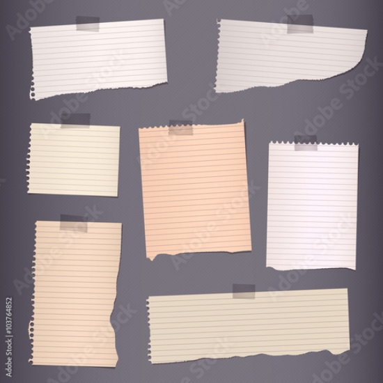 Picture of 103764852