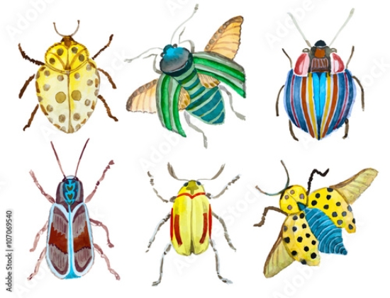 Picture of 107069540