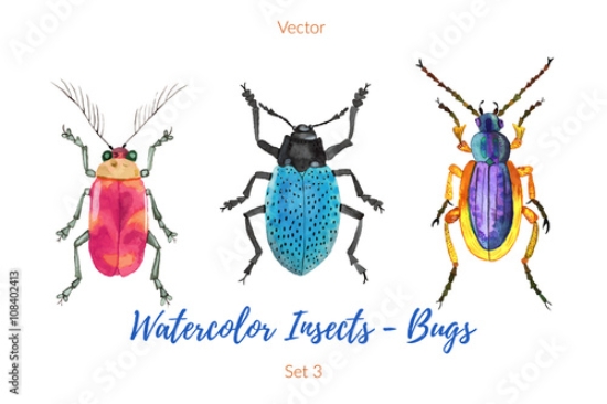 Picture of 108402413