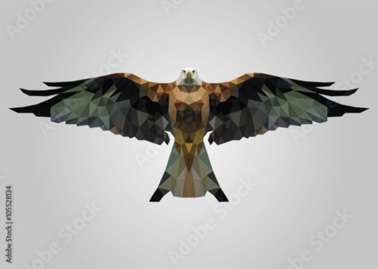 Picture of 105528134