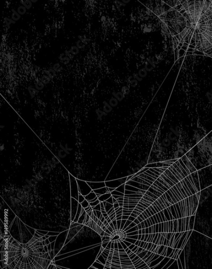 Picture of 149589992