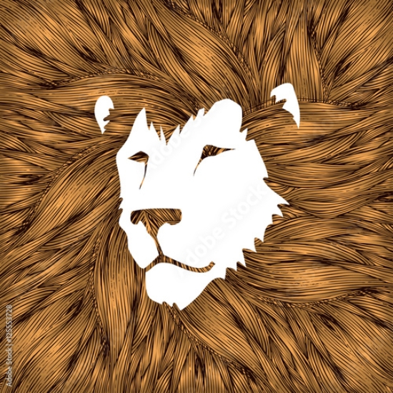 Picture of 125553728