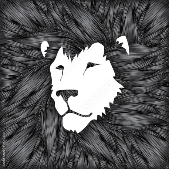 Picture of 125553818