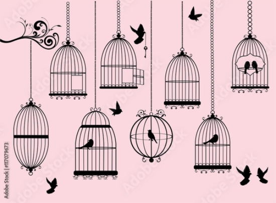 Picture of 117079673