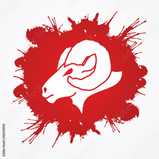 Picture of 126338138