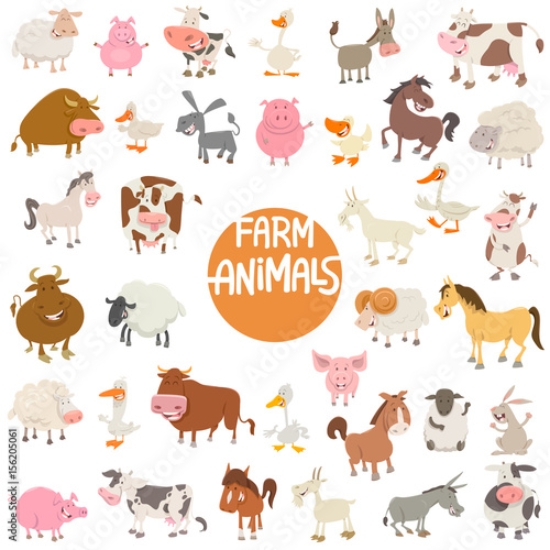 Picture of 156205061