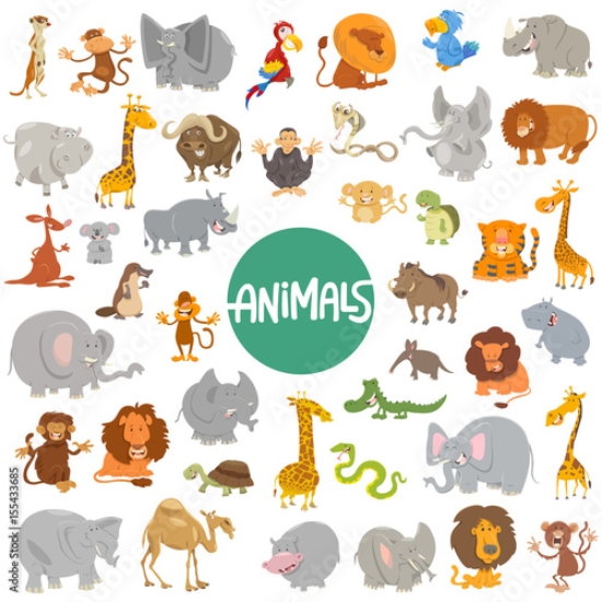 Picture of 155433685