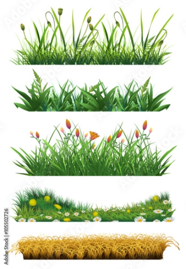 Picture of 105502726