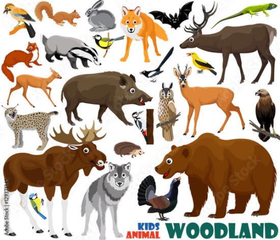 Picture of 129371345