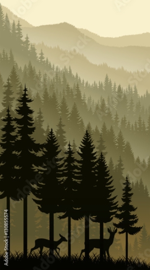 Picture of 130855574