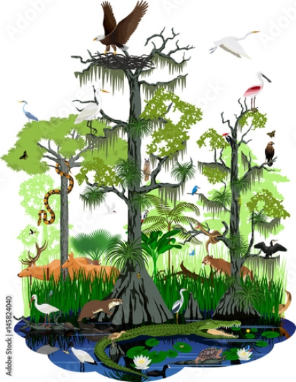 Picture of 145824040