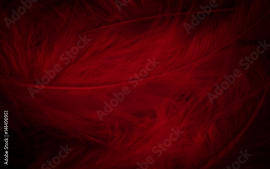 Picture of 141490951