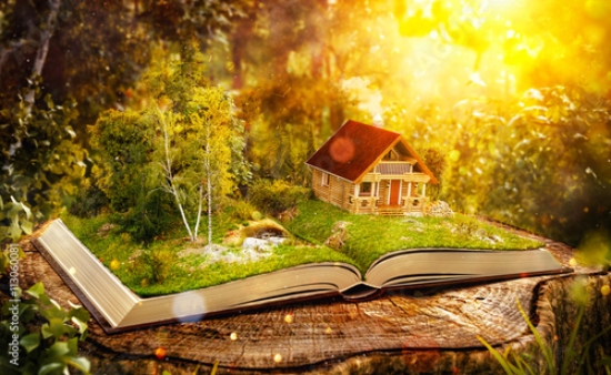 Picture of 113060081