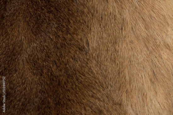 Picture of 122440752