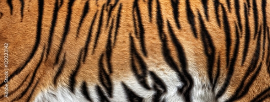 Picture of 129223142