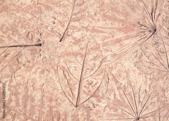 Picture of 138905672